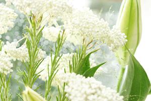 いわき市の指輪選びならココがオススメ！